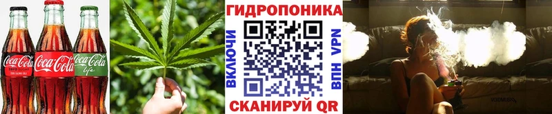 Canna-Cookies марихуана  сколько стоит  Муравленко 