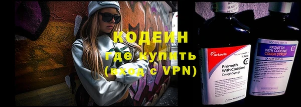 шишки Ветлуга