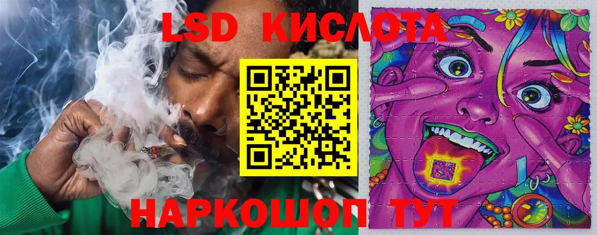 Галлюциногенные грибы Муравленко