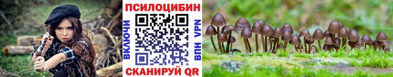 где купить наркоту  Муравленко  Галлюциногенные грибы GOLDEN TEACHER 