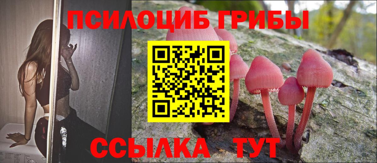 Меф мяу мяу Муравленко