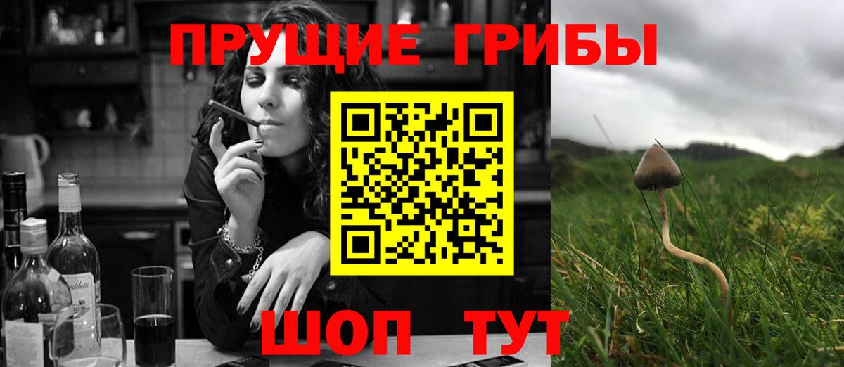 Псилоцибиновые грибы MAGIC MUSHROOMS  Вход с VPN  Муравленко  Псилоцибиновые грибы прущие грибы 